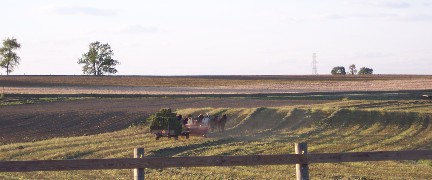 Photo of Alfalfa harvest