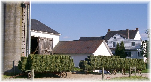 Amish alfalfa harvest 5/11/11