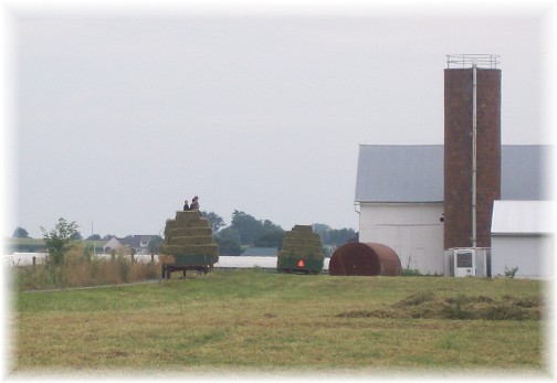 Lancaster County alfalfa harvest 7/28/11