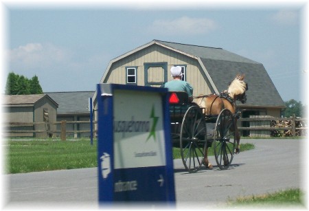 Amish banking