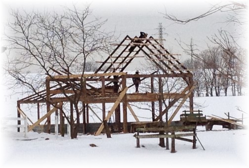 Amish men building barn 2/12/14