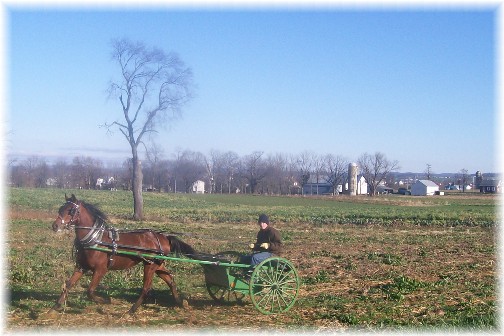 Amish boy racing in field 12/1/11