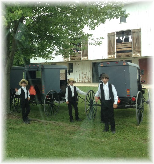 Amish boys at church gathering 6/29/14