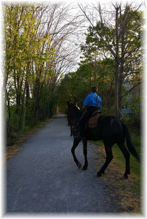 Amish boys riding horses on Junction Trail