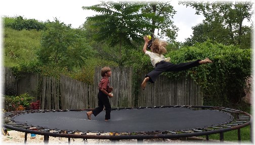 Amish boys jumping on trampoline (Lee Smucker)