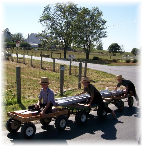 Amish boys on wagons