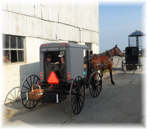 Amish buggie 4/10/13