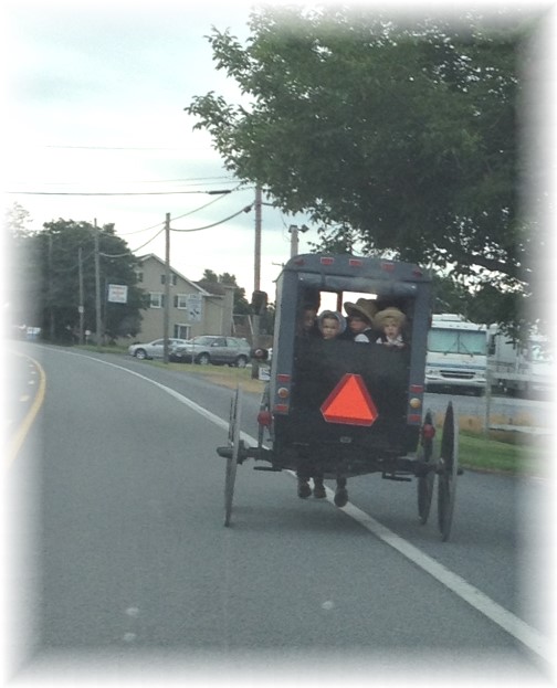 Amish family in open cart in Lancaster County PA 7/11/14