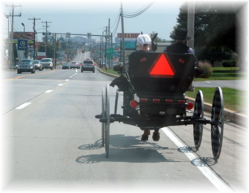 Amish buggy heading into city 9/8/13