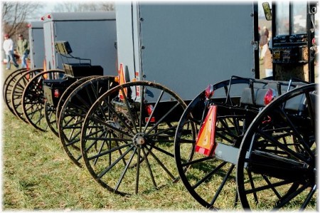 Photo of Amish buggies for sale (photo by Doris High)