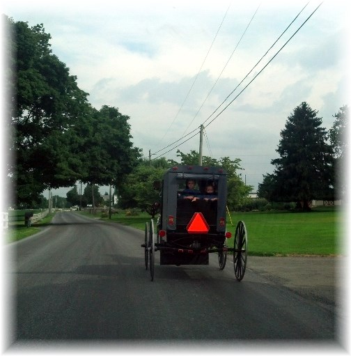 Amish buggy in Lancaster County PA