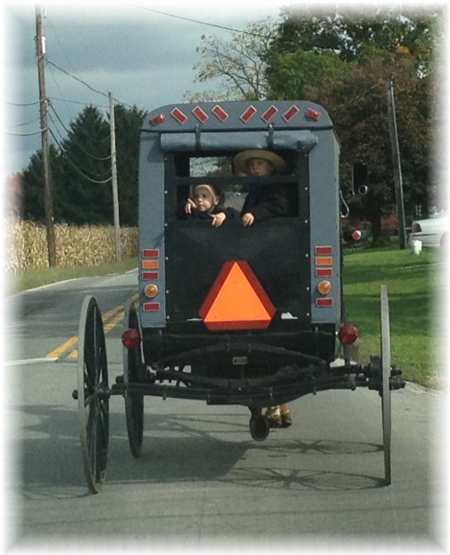 Amish buggy 10/16/14