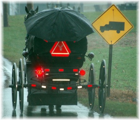 Amish buggy in rain