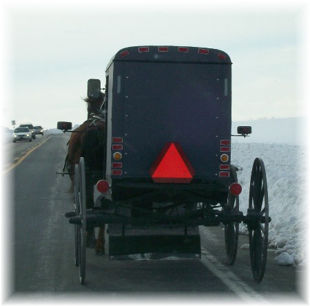 Amish buggy in snow