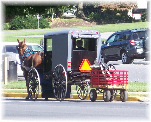 Amish buggy in New Holland