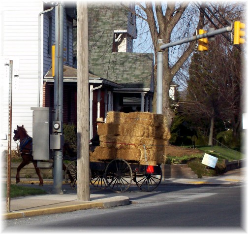 Amish buggy with hay load