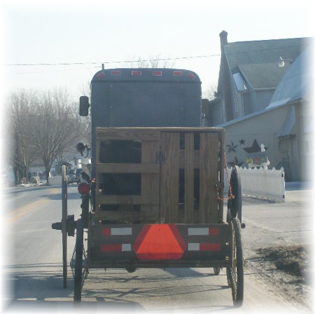 Amish buggy with trailer 1/12/10