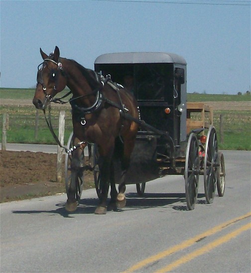 Amish buggy with wagon 4/14/11