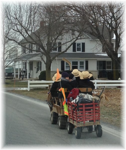 Amish boys in cart with trailer 1/14/15