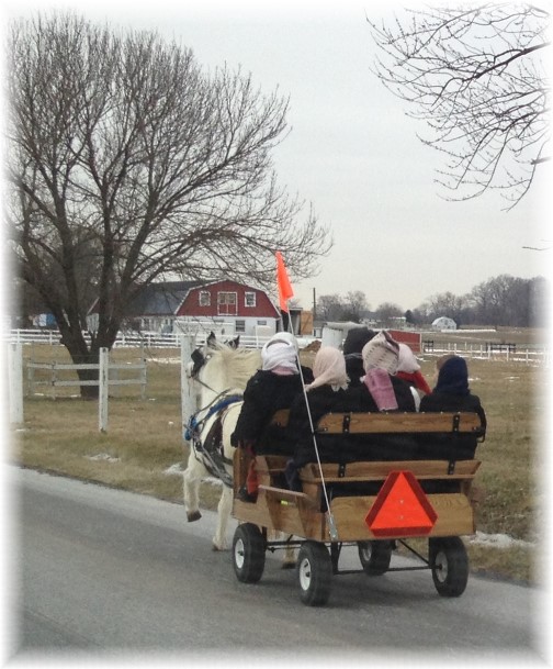 Amish girls in cart 1/14/15