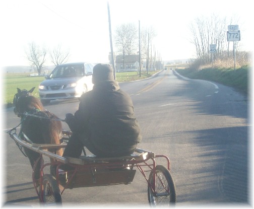 Amish cart on Newport Road, Lancaster County, PA 12/1/11