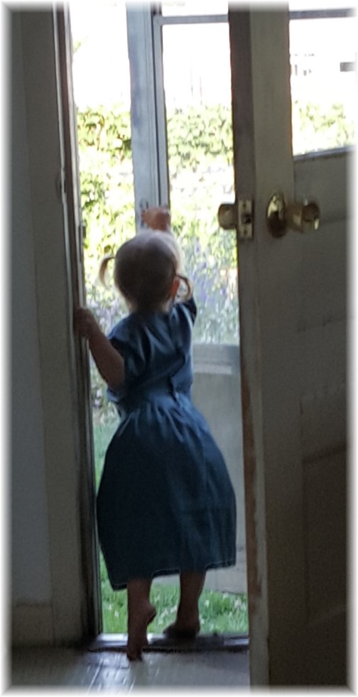 Child looking out door welcoming guest