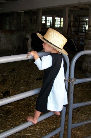 Amish child on gate