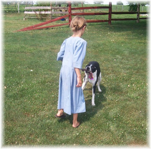 Amish child playing with Molly 7/12/12