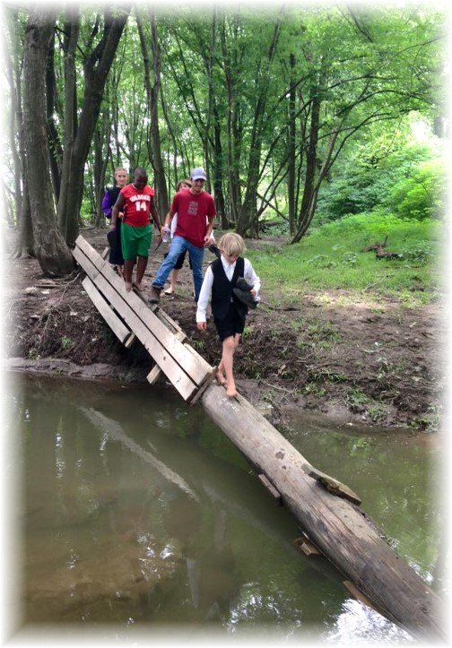 Crossing creek on log