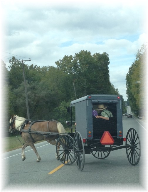 Amish buggy on Rt 222 9/26/15