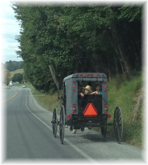 Amish buggy on Rt 222 9/26/15