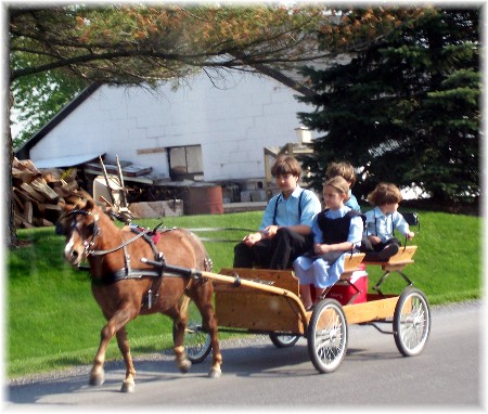 Amish children on cart, Lancaster County PA