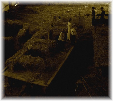 Amish children playing on hay wagon