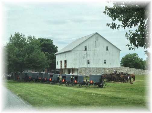Amish church gathering 6/29/14