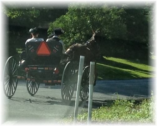 Amish couple going to church 6/29/14