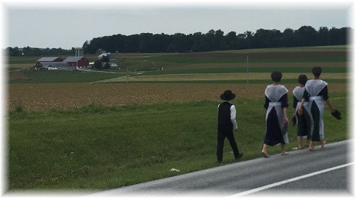 Amish family going to church 6/4/17