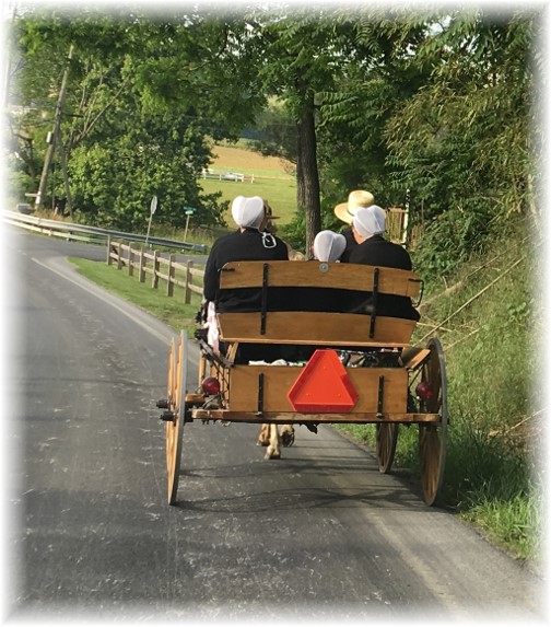 Amish family going to church 6/4/17