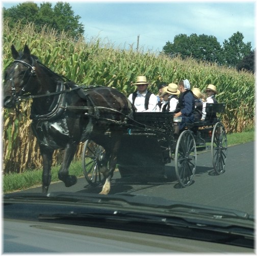 Amish family coming home from church 8/23/15