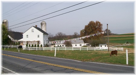 Photo of Amish clothesline