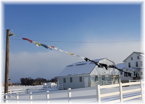 Amish clothesline in snow 2/11/16 (Click to enlarge)
