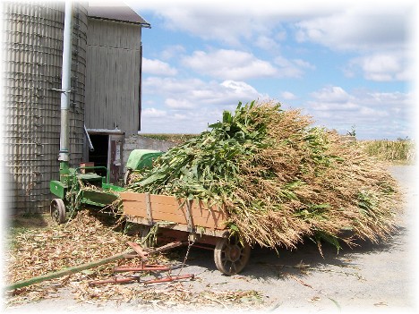Amish alfalfa harvest, Lancaster County, PA