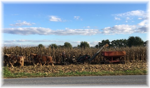 Lancaster County corn harvest 10/13/16