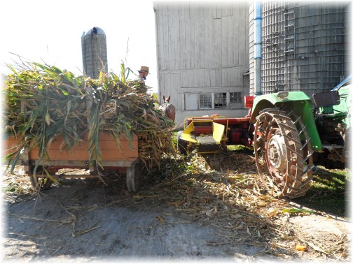 Amish corn harvest 2012