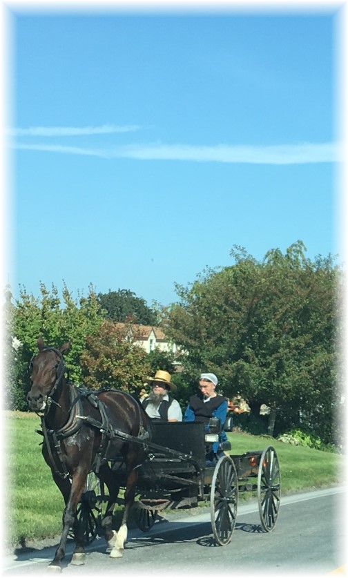 Amish couple in spring wagon 9/21/17