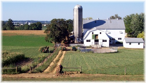 Lancaster County Amish dairy farm