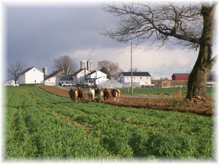 Amish fall plowing in Lancaster County PA