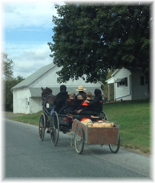 Amish family pulling garden cart 9/26/15