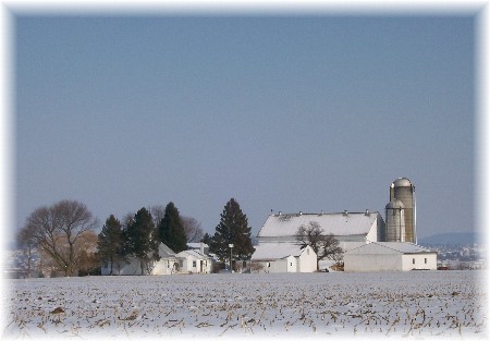 Amish farm in snow