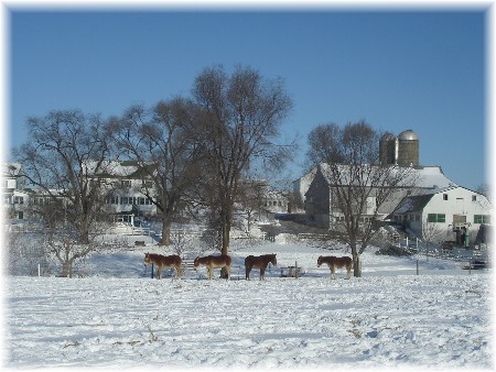 Amish farm, Lancaster County PA