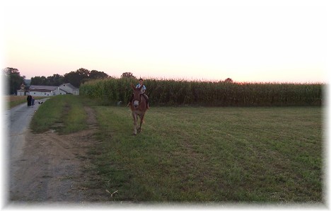 Sunset on an Amish farm 8/29/10